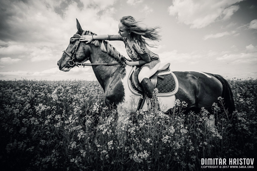 Horse riding in meadow   Girl portrait photography portraits horse photography featured black and white  Photo