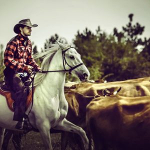 Wild West Cowboy – Cattle Drive – Equestrian photography by Dimitar Hristov