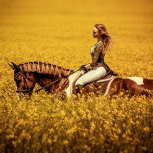 Young Woman Riding A Horse Across The Field