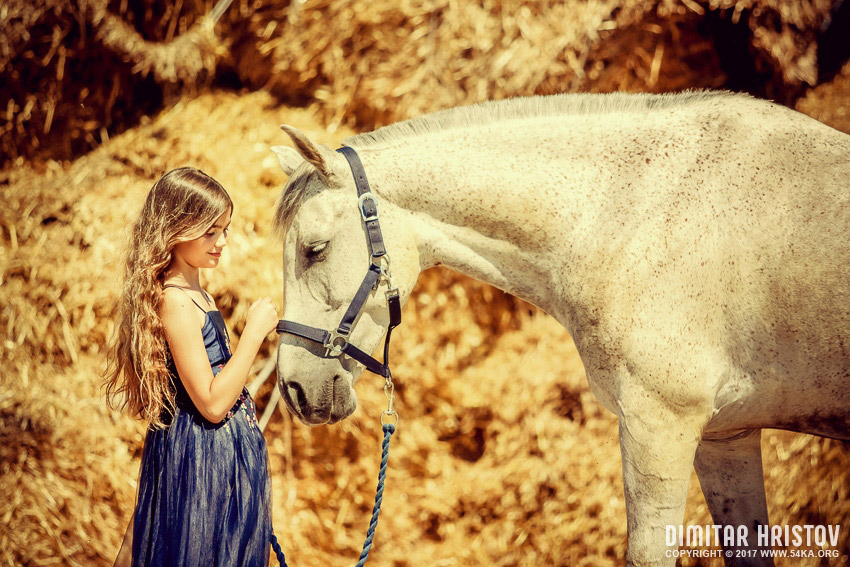 Cute girl with beautiful white horse photography portraits horse photography galleries top rated featured animals  Photo
