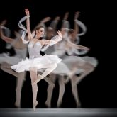 The Swan – Ballet dancer