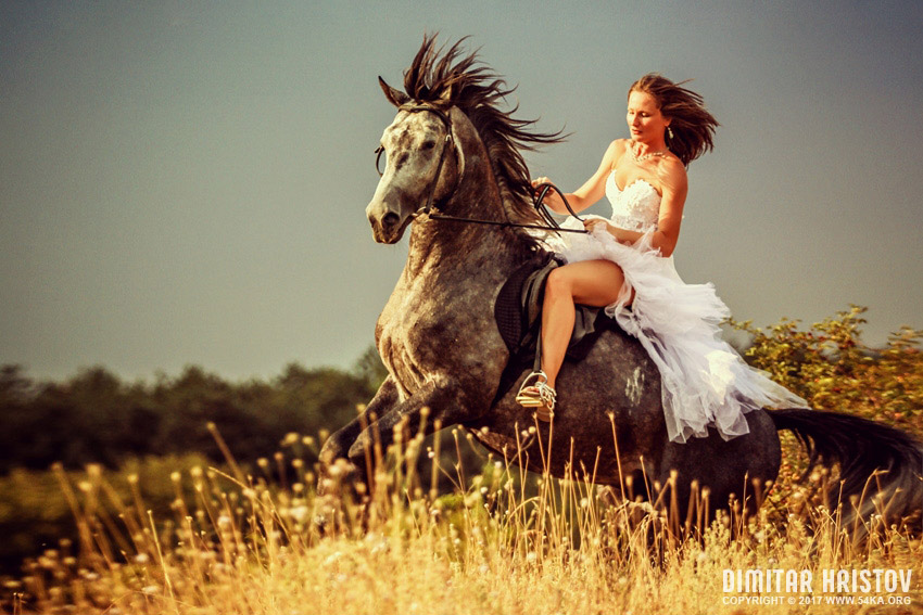 Woman riding wild horse photography horse photography top rated featured animals  Photo