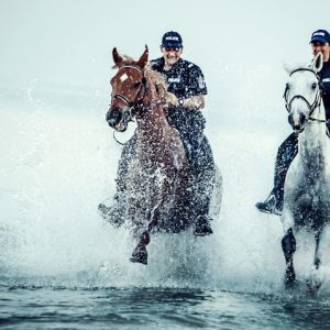 Police officers riding horses on the beach – Video