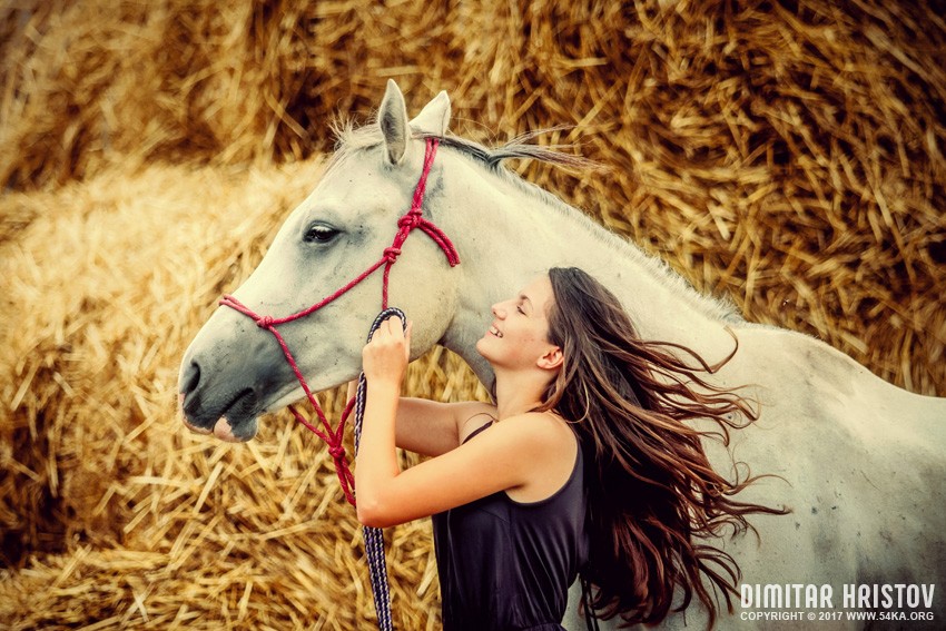 Beautiful girl with long hair with a horse photography portraits horse photography top rated featured animals  Photo
