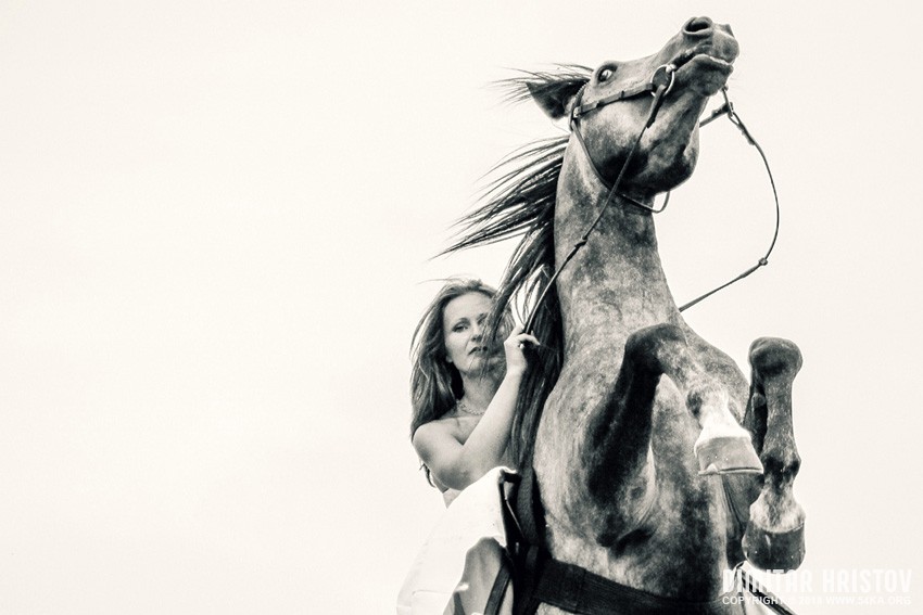 White Dress and Black Horse Portrait photography horse photography featured black and white animals  Photo