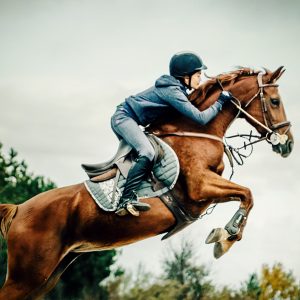 Girl Jumping With Horse