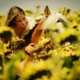 Portrait of a woman with a horse in a field of sunflowers