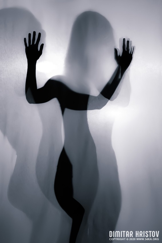Silhouette of young woman on white background – Studio Art 