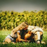 Woman sits at lying horse on the pasture background