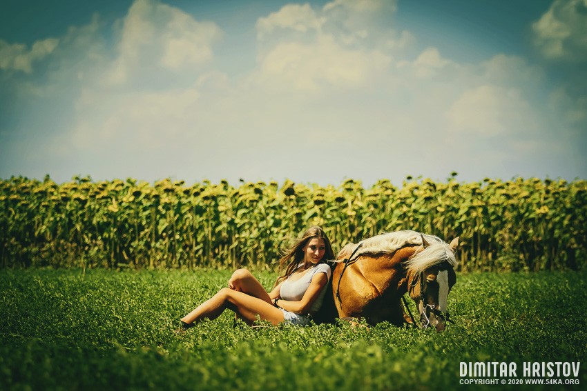 Yong girl and her pony photography portraits featured equine photography animals  Photo
