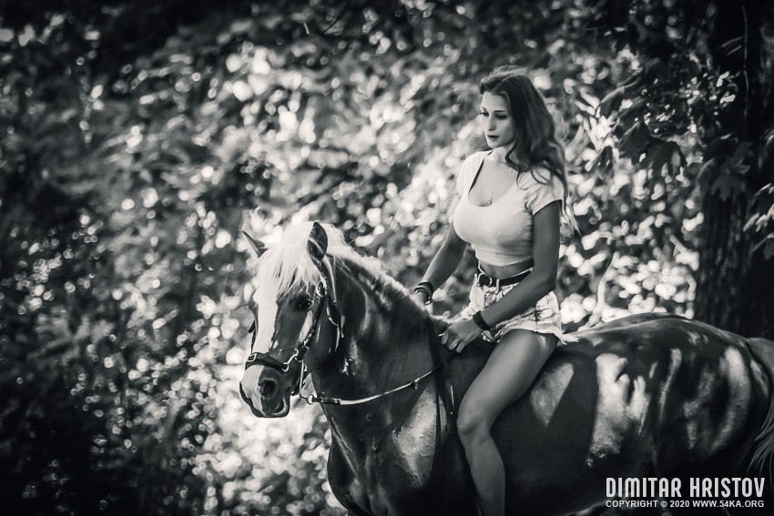 Young woman riding a horse in the forest photography featured equine photography black and white animals  Photo