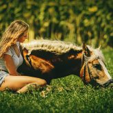 Young woman with horse on meadow