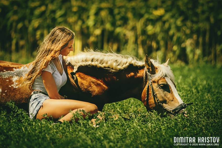 Young woman with horse on meadow photography horse photography top rated featured animals  Photo