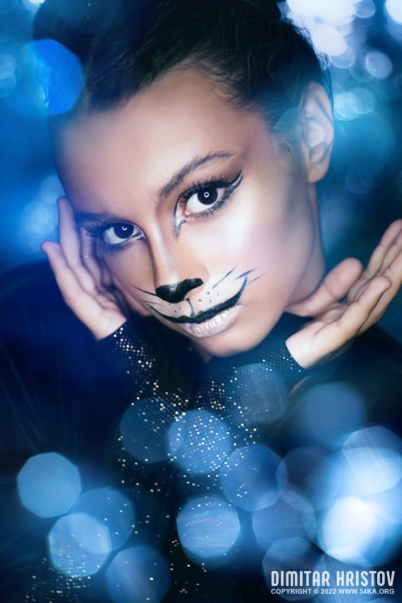 The Magical Cat In Blue   Coraline photography portraits featured fashion  Photo