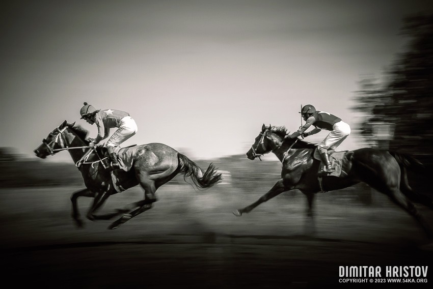 Race Horses On The Home Straight III   B&W photography sport horse photography extreme black and white animals  Photo