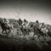 Race Horses With Jockeys On The Home Straight