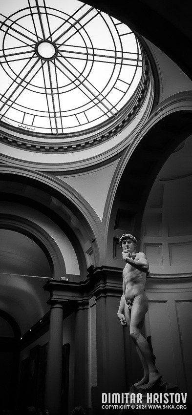 David by Michelangelo photography other featured black and white  Photo