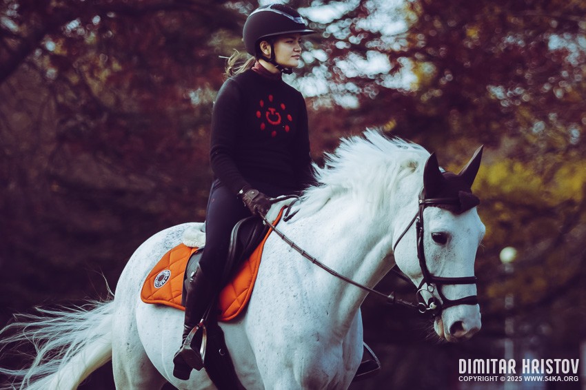 Girl riding white horse photography galleries featured animals  Photo
