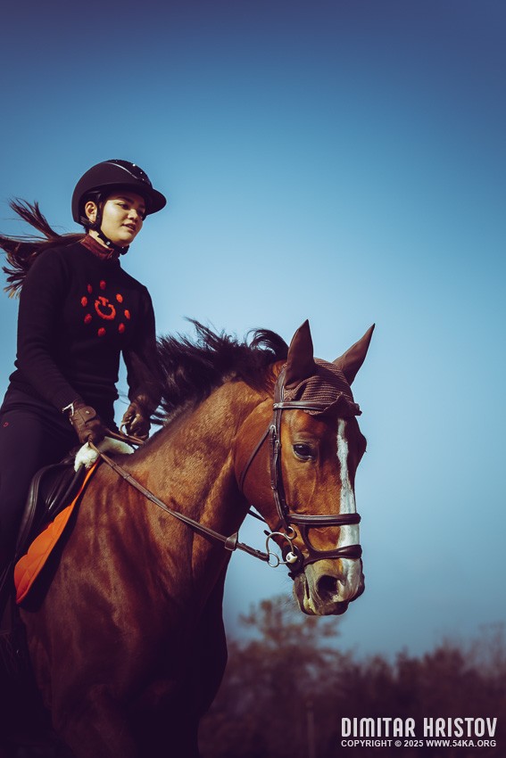 Young female rider photography sport horse photography galleries  Photo