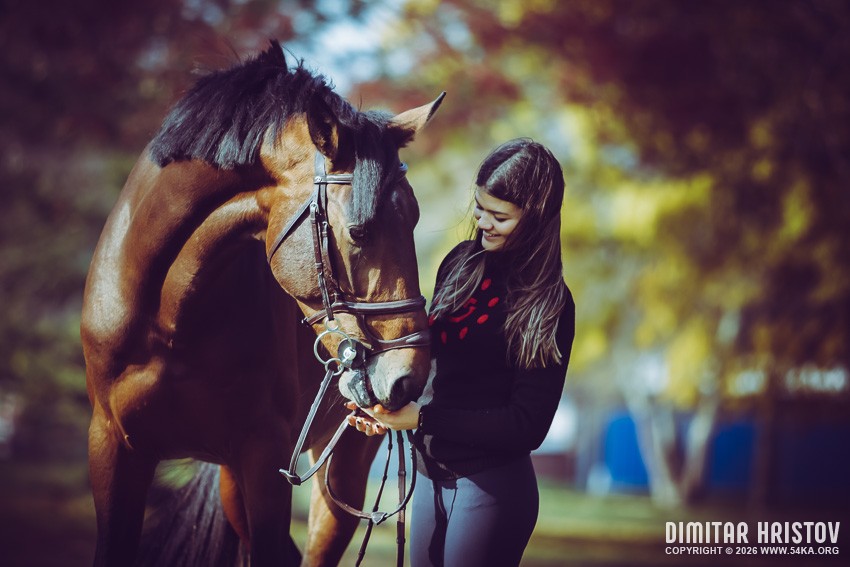 Girl with a brown horse walking in the forest photography horse photography animals  Photo