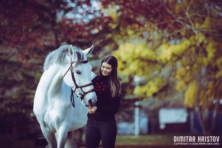 Girl with a white horse walking in the forest Photo woodland white horse walking in the forest peaceful moment outdoor scene outdoor photography nature photography Nature Natural Light Horse and girl harmony with nature green forest Girl with a white horse girl walking with horse friendship freedom forest fairytale mood equine beauty countryside calm atmosphere bond between human and animal adventure Girl with a white horse walking in the forest photography horse photography animals Photo
